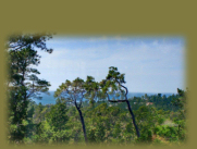 1351 Burton Dr., Cambria - Chartwell Manor 